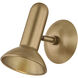 Bjorn Convertible Wall/Ceiling Wall Light